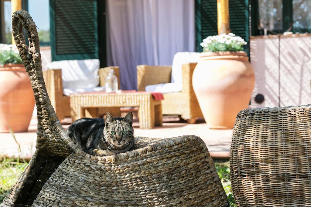 At In Maremma